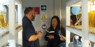 Académicas de la Universidad de Tokio visitaron Fundación Chinquihue para investigar el desarrollo de la acuicultura en el sur de Chile