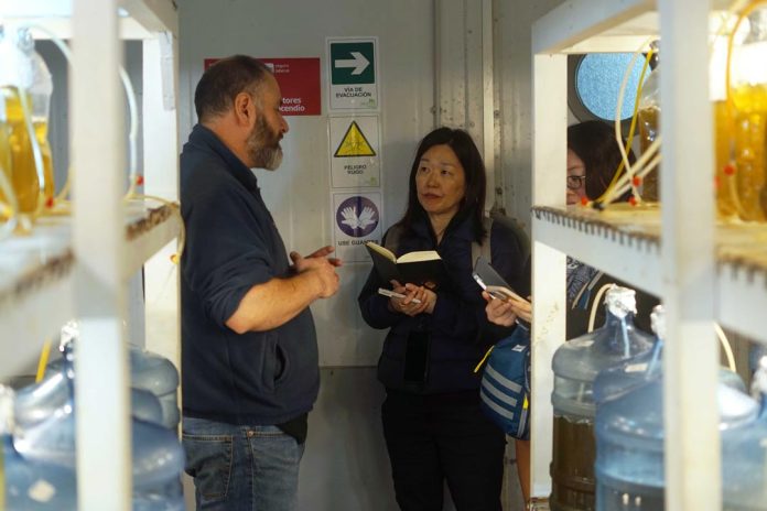 Académicas de la Universidad de Tokio visitaron Fundación Chinquihue para investigar el desarrollo de la acuicultura en el sur de Chile