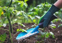 Actualización de norma de fertilizantes establecerá cambios en etiquetado de productos químicos Actualización de norma de fertilizantes establecerá cambios en etiquetado de productos químicos