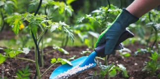 Actualización de norma de fertilizantes establecerá cambios en etiquetado de productos químicos