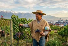 Agro chileno: equilibrio estratégico en tiempos de tensión global