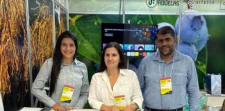 Noticia: Alianza chileno-brasileña: Grupos Hijuela y Vitácea se unen para potenciar la...