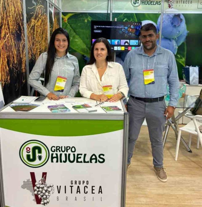 Alianza chileno-brasileña: Grupos Hijuela y Vitácea se unen para potenciar la genética de vanguardia y la biotecnología en la producción de frutas de alto valor en Brasil Alianza chileno-brasileña: Grupos Hijuela y Vitácea se unen para potenciar la genética de vanguardia y la biotecnología en la producción de frutas de alto valor en Brasil