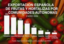 Andalucía, Comunidad Valenciana y Murcia concentran el 87,5% de las exportaciones de frutas y hortalizas Andalucía, Comunidad Valenciana y Murcia concentran el 875