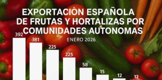 Andalucía, Comunidad Valenciana y Murcia concentran el 87,5% de las exportaciones de frutas y hortalizas Andalucía, Comunidad Valenciana y Murcia concentran el 875
