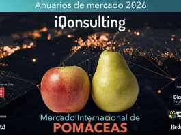 Anuario Pomáceas de IQonsulting: Mercado global de la manzana continúa en expansión con más de US$ 8 mil millones. Las peras se mantienen estables en volumen