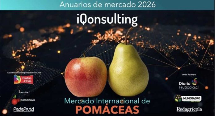 Anuario Pomáceas de IQonsulting: Mercado global de la manzana continúa en expansión con más de US$ 8 mil millones. Las peras se mantienen estables en volumen