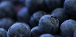 Arándanos de Sudáfrica