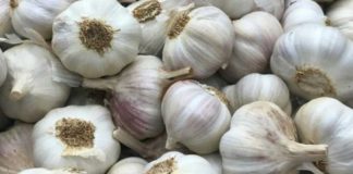 Argentina | Ajo chino versus ajo argentino: Una pulsada imposible por cantidad y precio