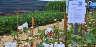 Argentina | Arrancó Expoagro y el INTA despliega su apuesta tecnológica