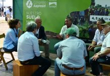 Argentina | El campo y la ley de semillas: se reaviva la puja entre productores y dueños de las patentes