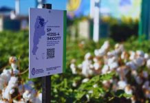 Argentina Genética aplicada al campo, la propuesta del INTA en Expoagro