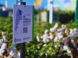 Argentina Genética aplicada al campo, la propuesta del INTA en Expoagro