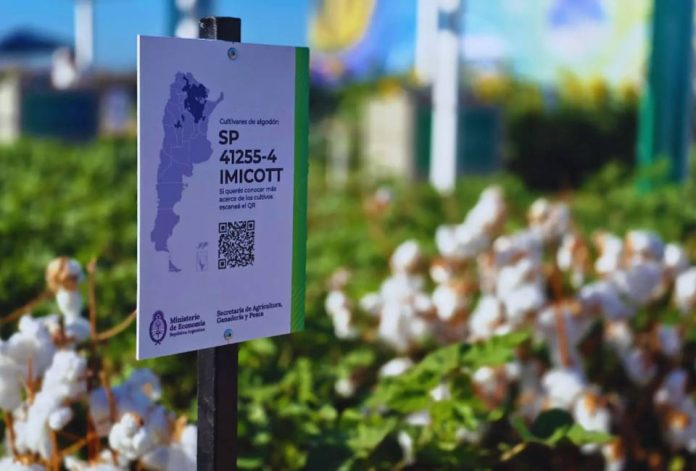 Argentina Genética aplicada al campo, la propuesta del INTA en Expoagro