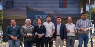 Arroceros del Maule reciben $600 millones de INDAP para hacer frente a temporada marcada por bajos precios