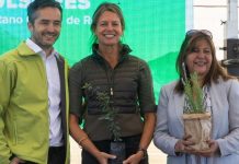 Avanza Plan Maestro del Agua para la transformación del Parque Metropolitano Cerros de Renca