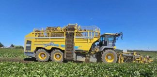 Noticia: Beneo inicia su 21ª campaña en Chile con récord histórico en...