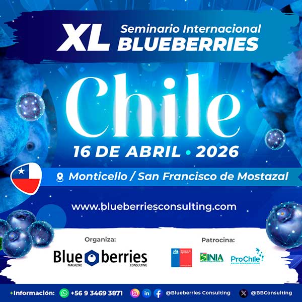 XL Seminario Internacional de Blueberries Chile 2026