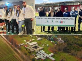 CIC Los Ríos fortalece su ecosistema de innovación con la incorporación de tres empresas biotecnológicas sostenibles