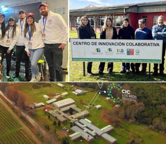 CIC Los Ríos fortalece su ecosistema de innovación con la incorporación de tres empresas biotecnológicas sostenibles