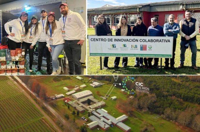 CIC Los Ríos fortalece su ecosistema de innovación con la incorporación de tres empresas biotecnológicas sostenibles