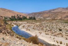 CNR orienta a regantes de Salamanca sobre alternativas para fortalecer la seguridad de riego CNR orienta a regantes de Salamanca sobre alternativas para fortalecer la seguridad de riego