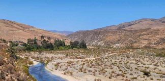 CNR orienta a regantes de Salamanca sobre alternativas para fortalecer la seguridad de riego