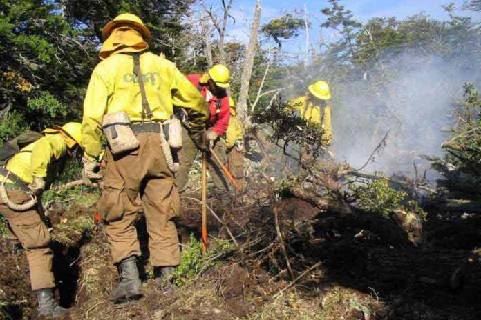 CONAF recibe Sello Buen Trato Ley Karin otorgado por la ACHS
