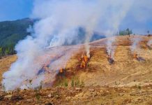 CONAF extiende levantamiento de la restricción del uso del fuego en la Región del Biobío CONAF extiende levantamiento de la restricción del uso del fuego en la Región del Biobío