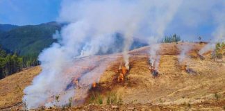 CONAF extiende levantamiento de la restricción del uso del fuego en la Región del Biobío