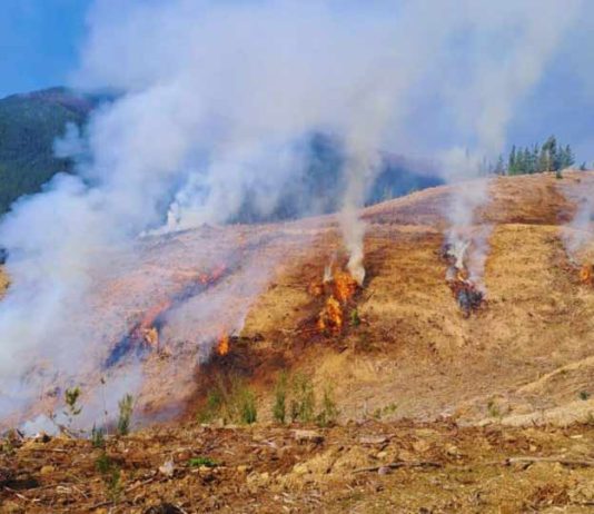 CONAF extiende levantamiento de la restricción del uso del fuego en la Región del Biobío CONAF extiende levantamiento de la restricción del uso del fuego en la Región del Biobío