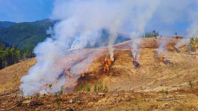 CONAF extiende levantamiento de la restricción del uso del fuego en la Región del Biobío CONAF extiende levantamiento de la restricción del uso del fuego en la Región del Biobío