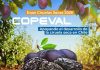 COPEVAL estará presente en la 13ª expo ciruelas secas