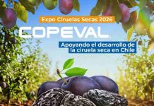 COPEVAL estará presente en la 13ª expo ciruelas secas