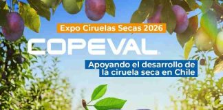 COPEVAL estará presente en la 13ª expo ciruelas secas