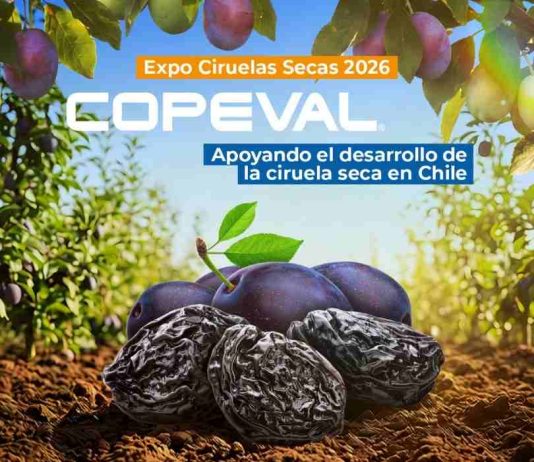 COPEVAL estará presente en la 13ª expo ciruelas secas