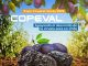 COPEVAL estará presente en la 13ª expo ciruelas secas