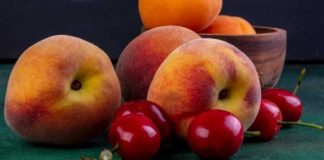 Cambios regulatorios en Argentina buscan impulsar nuevos mercados para la fruta de Mendoza