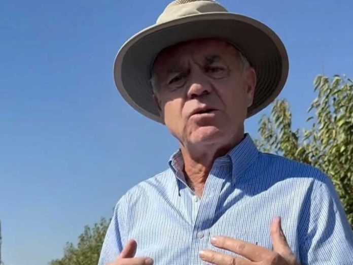 Cerezas chilenas: podrían reducirse hasta 30.000 hectáreas para frenar el exceso de oferta