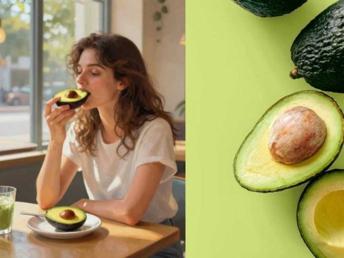 Chile tierra de «Palta Lovers»: Consumo per cápita alcanza récord con casi 9 kilos en 2025