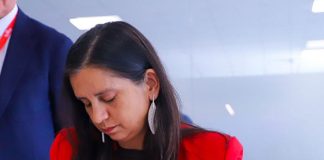 Chile y Nueva Zelanda firman Arreglo Estratégico Agrícola para fortalecer la cooperación y el comercio sostenible