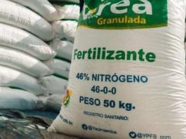 China restringe exportaciones de fertilizantes para proteger mercado interno y agrava tensiones globales China restringe exportaciones de fertilizantes para proteger mercado interno y agrava tensiones globales