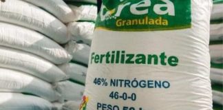 China restringe exportaciones de fertilizantes para proteger mercado interno y agrava tensiones globales China restringe exportaciones de fertilizantes para proteger mercado interno y agrava tensiones globales
