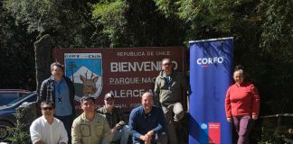 Científicos analizan ADN del agua en el Parque Alerce Andino para crear modelo pionero que conecte turismo y conservación Científicos analizan ADN del agua en el Parque Alerce Andino para crear modelo pionero que conecte turismo y conservación