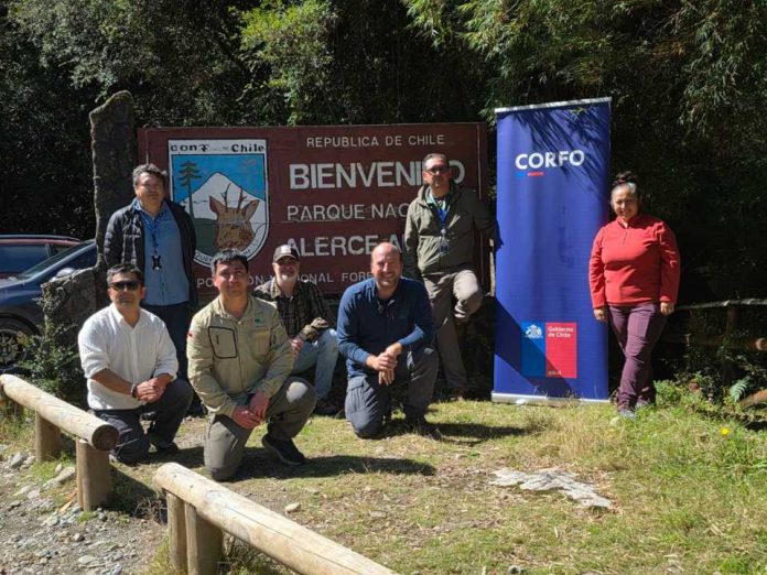 Científicos analizan ADN del agua en el Parque Alerce Andino para crear modelo pionero que conecte turismo y conservación