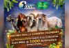 Colombia Feria de La Dorada alcanza Grado A en su edición 28 y se consolida como vitrina clave de la ganadería