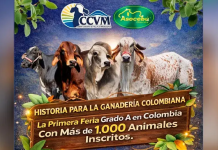 Colombia Feria de La Dorada alcanza Grado A en su edición 28 y se consolida como vitrina clave de la ganadería