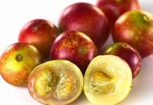 Colombia | Superfrutos del bosque: la nueva frontera funcional de Colombia