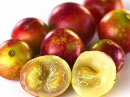 Colombia | Superfrutos del bosque: la nueva frontera funcional de Colombia Colombia | Superfrutos del bosque: la nueva frontera funcional de Colombia