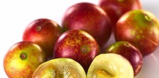 Colombia | Superfrutos del bosque: la nueva frontera funcional de Colombia